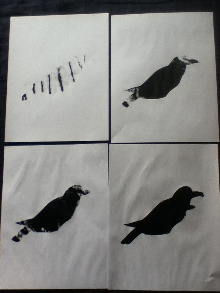 Raven Screenprints